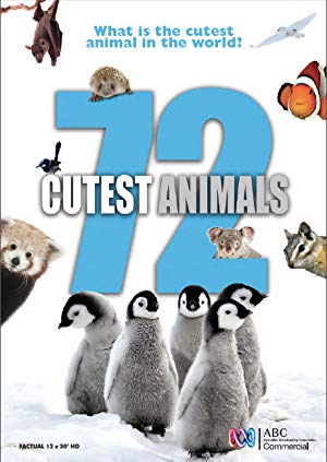 72 Cutest Animals