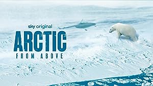 Arctic from Above