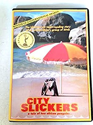 City Slickers: A Tale of Two African Penguins