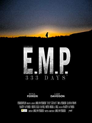 E.M.P. 333 Days