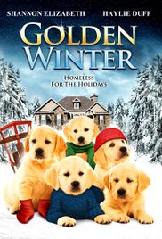 Golden Winter - Wir suchen ein Zuhause ...