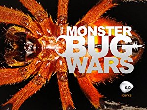 Monster Bug Wars