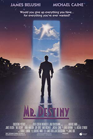 Mr. Destiny