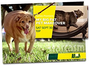 My Big Fat Pet Makeover