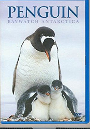 Penguin Baywatch Antarctica