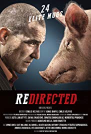 Redirected - Ein fast perfekter Coup