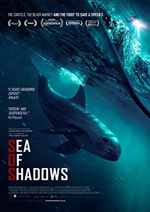 Sea of Shadows