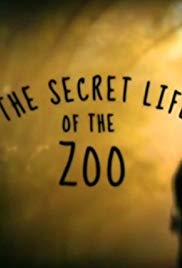 Secrets of the Zoo