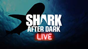 Shark After Dark