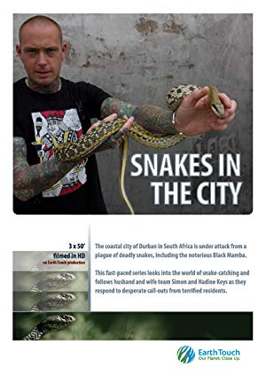 Snakes in the City