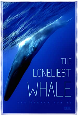 The Loneliest Whale The Search For 52