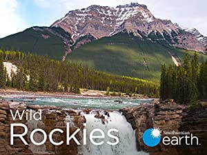 Wild Rockies