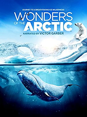 Wonders of the Arctic